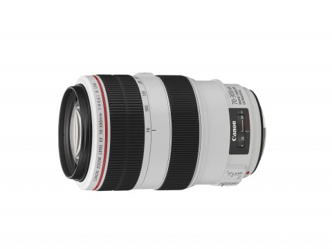 Canon EF 70-300mm L IS USM